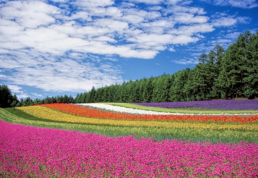 県外ないし場所不明 Outside the kumamoto